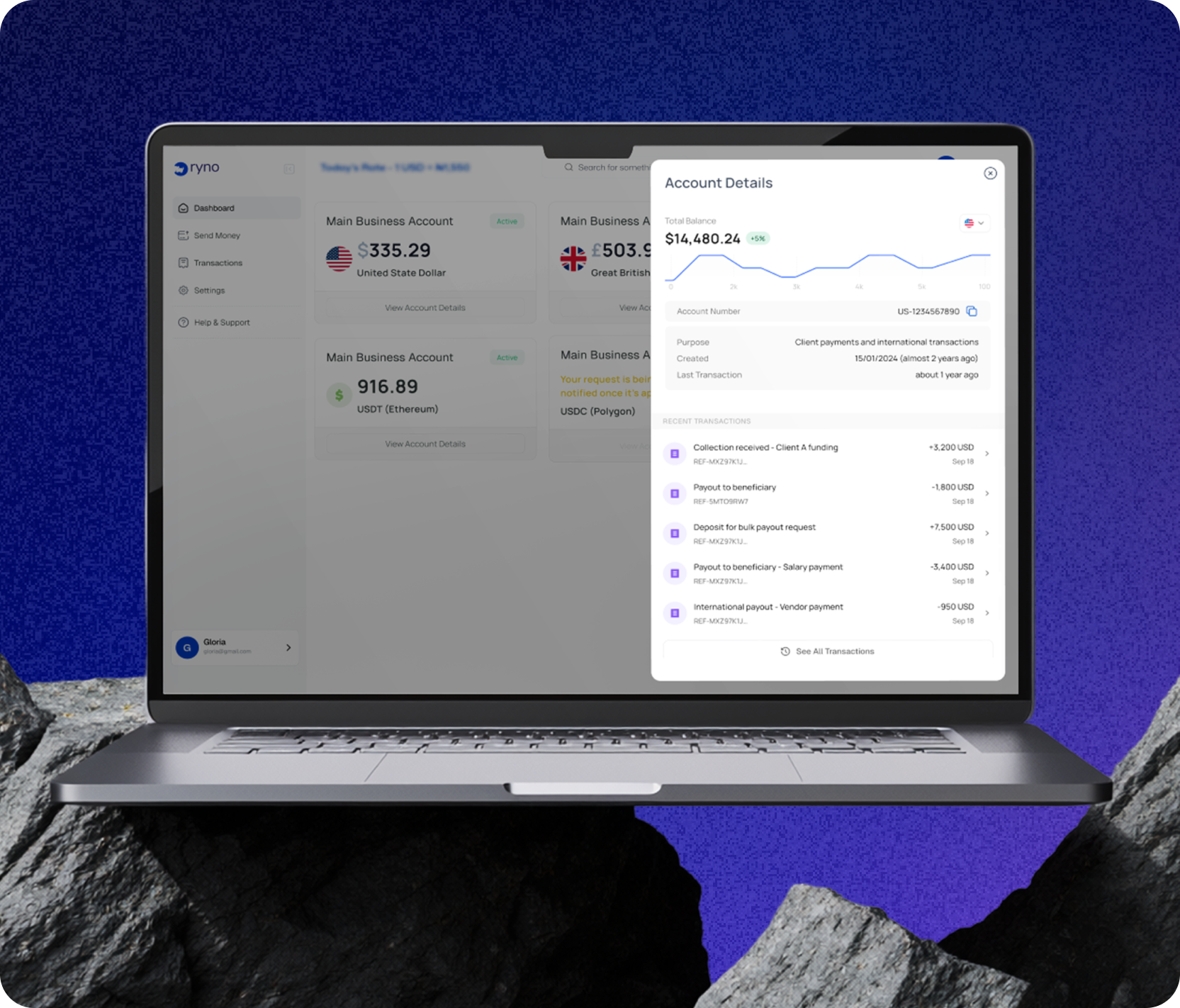 Ryno treasury optimization dashboard on laptop
